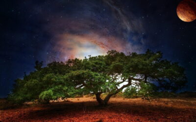 Burcu ÖZBEK | Uzman Sosyolog|Cehaletin En Tehlikeli Hali: Bilmediğini Bilmemek Nedir?